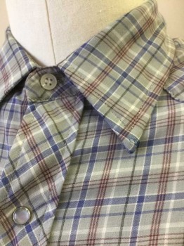 ROEBUCKS, Gray, Navy Blue, Red Burgundy, White, Cotton, Polyester, Plaid, Plaid-  Windowpane, Short Sleeve Snap Front, 2 Flap Pockets, Snap Faces are Circular Gray with Silver Edge