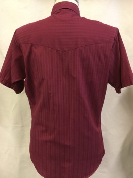 Mens, Western, ELY CATTLEMAN, Wine Red, Cotton, Polyester, Diamonds, Stripes - Vertical , M, Wine with Self Vertical Diamond Stripes, Western Cut, Collar Attached, Yoke, Pearly Clear Snap Front Buttons, 2 Pockets with Flap, Short Sleeves,