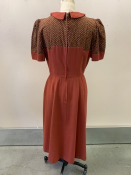 Womens, Dress, NL, Burnt Orange, Brown, Yellow, White, Synthetic, Polka Dots, Color Blocking, W: 28, B: 36, Peter Pan Collar, 1/4 Button Front, Brown Yoke, S/S, Fit & Flare *Missing Belt