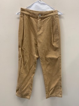 ZARA, Khaki Brown, Cotton, Solid, Corduroy Pants, Pleated, Side Zipper, Zip Front,