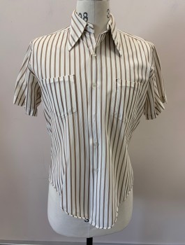 SIR WALTER, White, Brown, Nylon, Polyester, Stripes - Vertical , Button Front, S/S, C.A., 2 Pockets Left One Mended,