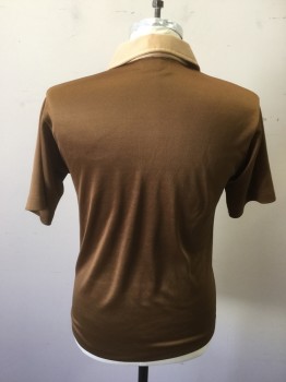CONTOUR, Brown, Polyester, Solid, Light Brown Pointed Collar Attached, Light Brown Placket, 4 Buttons, Short Sleeves