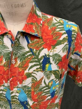 Mens, Hawaiian Shirt, OBEY, Red, Off White, Green, Aqua Blue, Navy Blue, Cotton, Floral, Novelty Pattern, M, Flowers and Toucans, Button Front, Collar Attached, Short Sleeves, 1 Pocket
