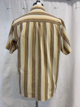 VAN HEUSEN, Beige, Yellow, Brown, Red, Blue, Polyester, Cotton, Stripes, Button Front, Collar Attached, Short Sleeves, Left Chest Pocket