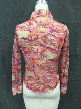 N/L, Pink, Taupe, Purple, Brown, Red-Orange, Nylon, Abstract , Abstract Landscape Pattern, Button Front, Collar Attached, Long Sleeves, Button Cuff