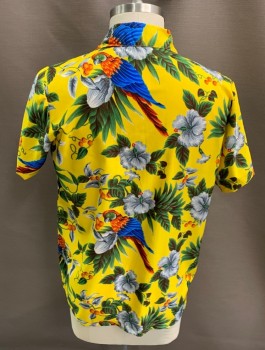 Mens, Hawaiian Shirt, V.H.O., Yellow, Blue, Green, Red, Gray, Synthetic, Hawaiian Print, XL, C.A., Button Front, S/S, 1 Pocket, Side Slits, Mults