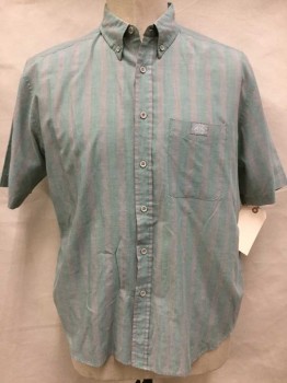 Mens, Casual Shirt, BRITTANIA, Green, Gray, Polyester, Cotton, Stripes, XL, Button Down Collar, Short Sleeve,  1 Pocket,