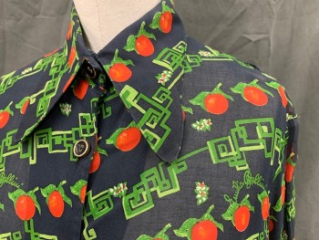 Womens, Blouse, EMILIA, Black, Green, Red, Cotton, Stripes - Diagonal , Novelty Pattern, B32/34, Cotton Voile, Novelty Tomato Print, Button Front, Collar Attached, Long Sleeves, Button Cuff, 1970's *Shoulder Seams Starting to Come Apart*
