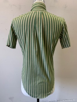 CAMPUS, Green, White, Yellow, Poly/Cotton, Stripes - Vertical , Short Sleeve Button Front, Collar Attached, Button Down Collar, 1 Patch Pocket,