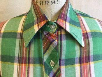 SUNDAY TIMES, Green, Red, Blue, White, Yellow, Cotton, Plaid, Plaid-  Windowpane, Sheer, Collar Attached, Button Front, Long Sleeves, Curved Hem