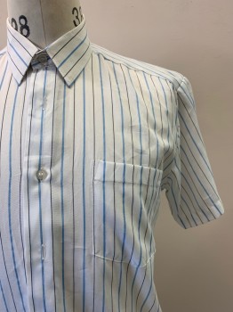 Mens, Shirt, CROWN PRINCE, White, Blue, Black, Polyester, Cotton, Stripes - Vertical , C42, 15, S/S, Button Front, Collar Attached, Chest Pocket,