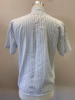 Mens, Shirt, CROWN PRINCE, White, Blue, Black, Polyester, Cotton, Stripes - Vertical , C42, 15, S/S, Button Front, Collar Attached, Chest Pocket,