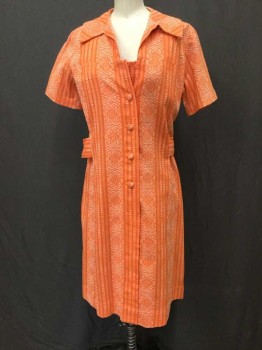 N/L, Orange, White, Cotton, Polyester, Stripes, Short Sleeve,  Attached Self Belt At Center Back, Hem At Knee, Late 1960's  **Top Button Missing At Time Of Inventory
