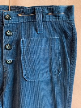 Mens, Pants, N/L, Teal Blue, Cotton, Solid, 30/30, F.F, 4 Pockets, 4 Large Buttons Fly, Corduroy
