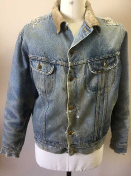 Mens, Jean Jacket, STORM RIDER LEE, Denim Blue, Lt Blue, Tan Brown, Cotton, Acrylic, Solid, 44, Light Faded Denim, Tan Ribbed Texture Collar, Button Front, 2 Pockets, Acrylic Fuzzy Gray Lining, Very Aged/Holey Throughout, Multiples,