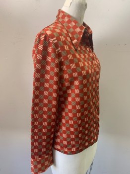 NL, Brick Red, Beige, Lt Green, Polyester, Geometric, Stripes - Diagonal , Collar Attached, Button Front, Long Sleeves,