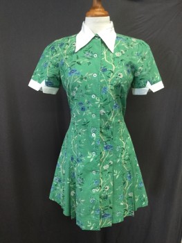 SAMANTHA PLEAT, Green, Blue, Khaki Brown, White, Cotton, Floral, Solid, Green Cotton Dress with Blue and Khaki Cornflower Print with White Collar and White Cuffs on Short Sleeves. Button Front Opening, Length Above Knee. Skirt Pleated to Waist