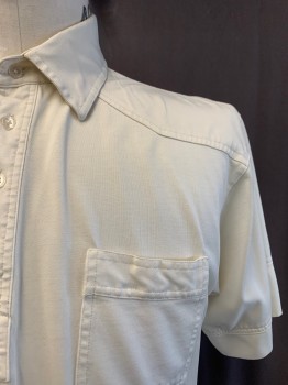 Mens, Polo Shirt, SAHARA, Cream, Cotton, Solid, L, C.A., Half Placket, Button Front, S/S, 2 Pockets,