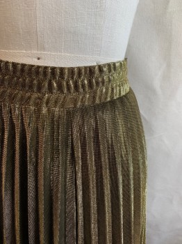 Z & I, Gold, Polyester, Solid, Elastic Waistband, Pleated
