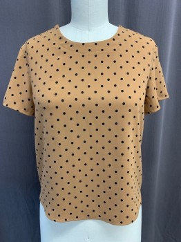 Womens, Top, BP, Brown, Black, Polyester, Polka Dots, XS, Round Neck, Short Sleeves, Button Closure In Back