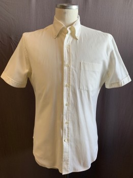Mens, Shirt, MTO/ANTO, Eggshell White, Cotton, Solid, Ch 42, 16, Pique Weave, Button Front, Collar Attached, Button Down Collar, Short Sleeves, 1 Pocket