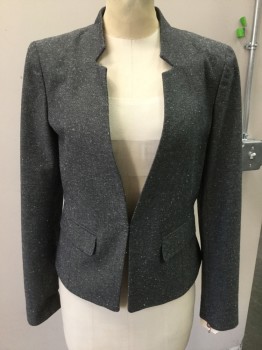 Womens, Blazer, ANN TAYLOR, Black, White, Cotton, Polyester, Stripes - Micro, Speckled, XS, Salt and Pepper Speckled W/white, Hook and Eye Closure, Notched Inverted Lapel, Pocket Flap,