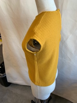 KORET, Mustard Yellow, Poly/Cotton, Solid, Slvls, CN, Waffle Knit, Back Zipper,