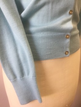 Womens, Sweater, J.CREW, Baby Blue, Wool, Solid, XS, Lightweight Knit, Scoop Neck, Long Sleeves, Gold Buttons