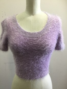 Womens, Pullover, CALI SUN & FUN A A, Lavender Purple, Nylon, Acrylic, Solid, XS, Short Sleeves, Scoop Neck, Cropped, Fuzzy Muppet Texture