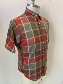 TOWNCRAFT TAPERED, Red Burgundy, Brown, Gray, Cream, Red, Poly/Cotton, Plaid, Short Sleeves, Button Front, Button Down Collar Attached, 1 Pocket,