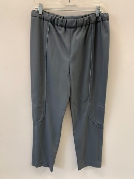 Mens, Sci-Fi/Fantasy Pants, N/l, Gray, Cotton, Solid, 30, 32, F.F, Elastic Waist Band   With Light Grey Piping Trim