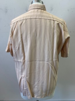 SPIRE, Beige, Brown, Polyester, Cotton, Stripes - Vertical , S/S, Button Front, C.A., Chest Pocket