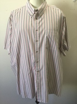 HARBOR BAY, White, Red, Taupe, Black, Lavender Purple, Polyester, Cotton, Stripes - Vertical , White with Multicolor Vertical Stripes, Short Sleeve Button Front,