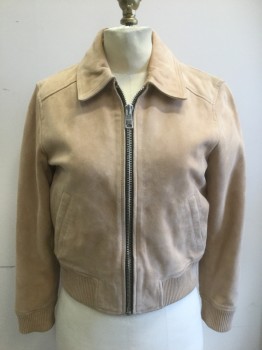 ALL SAINTS, Tan Brown, Suede, Solid, Zip Front, Collar Attached, Ribbed Texture Cuffs and Waistband, 2 Pockets