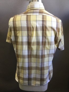 AMERICAN EDITION, Lemon Yellow, Brown, Black, Poly/Cotton, Plaid, Button Front, Collar Attached, Short Sleeves, 1 Pocket