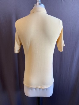 Mens, Polo Shirt, IZOD, Cream, Poly/Cotton, XS, C.A., 1/4 Button Front, S/S