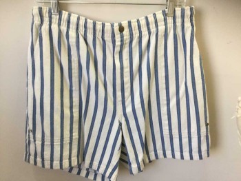 Womens, Shorts, EDDIE BAUER, White, Blue, Cotton, Stripes - Vertical , M, Elastic Waist, 3 Pockets, Zipper, Inner Drawstring, Retro,
