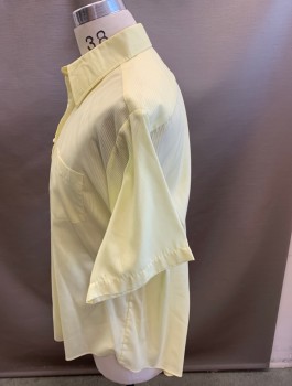Mens, Shirt, SUMMER TONES, Butter Yellow, Polyester, Cotton, Stripes - Pin, S/S Collar, Button Down 2 Pocket