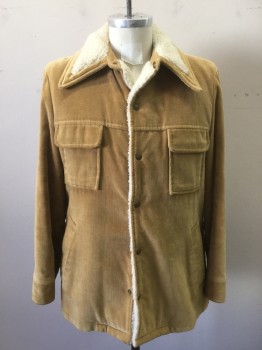 Mens, Jacket, WILLIAM BARRY, Camel Brown, Ivory White, Synthetic, Solid, 40, Corduroy, Faux Sheep Skin Lining, Snap Front, 4 Pockets, Aged/Distressed, Stains on Right Shoulder and Back, See Extra Photos