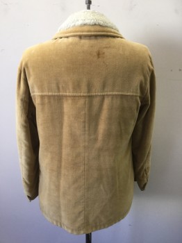 Mens, Jacket, WILLIAM BARRY, Camel Brown, Ivory White, Synthetic, Solid, 40, Corduroy, Faux Sheep Skin Lining, Snap Front, 4 Pockets, Aged/Distressed, Stains on Right Shoulder and Back, See Extra Photos