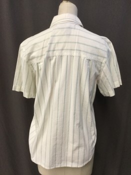 Womens, Shirt, SK WEAR, Off White, Dusty Green, Cotton, Stripes - Vertical , 4, Collar Attached, Large Metal Brown Button Front, 2 Pockets with Matching Button, Short Sleeves, Curved Hem,
