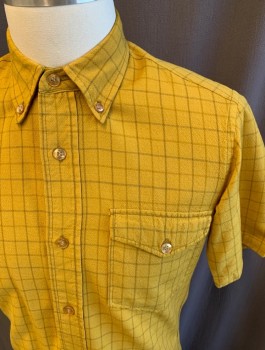 SIR PENDLETON, Mustard Yellow, Ochre Brown-Yellow, Lt Gray, Wool, Grid , Button Front, Button Down Collar, Short Sleeves, 1 Flap Pocket,