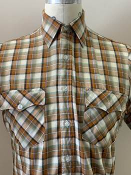 Mens, Casual Shirt, YOUNG BLOODS, Caramel Brown, Off White, Green, Lt Blue, Black, Polyester, Cotton, Plaid, C38, N14, S/S, Button Front, Collar Attached, Chest Pockets
