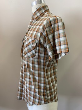 YOUNG BLOODS, Caramel Brown, Off White, Green, Lt Blue, Black, Polyester, Cotton, Plaid, S/S, Button Front, Collar Attached, Chest Pockets
