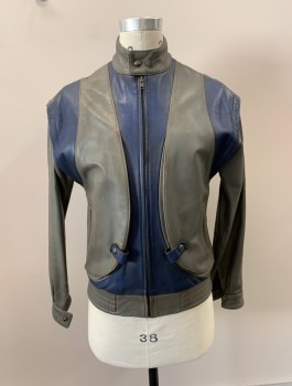 Mens, Leather Jacket, N/L, Gray, Navy Blue, Leather, Color Blocking, 40, Zip Front, 2 Pockets, Band Collar,  Made To Order,