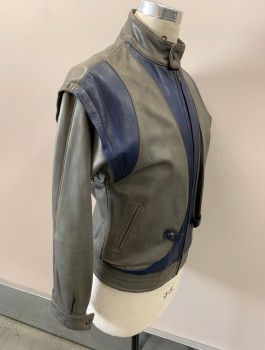 Mens, Leather Jacket, N/L, Gray, Navy Blue, Leather, Color Blocking, 40, Zip Front, 2 Pockets, Band Collar,  Made To Order,
