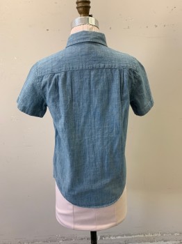CREW CUTS, Denim Blue, Cotton, Solid, Heathered, Button Down Collar, Button Front, S/S, 1 Pocket, MULTIPLES