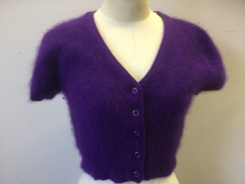 ACCOMPLICE, Purple, Angora, Nylon, Solid, Short Sleeves, 5 Buttons, Cropped,