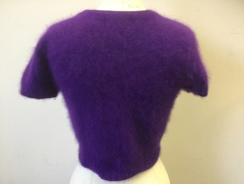ACCOMPLICE, Purple, Angora, Nylon, Solid, Short Sleeves, 5 Buttons, Cropped,