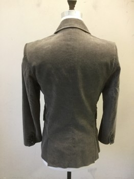 Mens, Sportcoat/Blazer, EARL JEANS, Gray, Cotton, Solid, M, Corduroy, Single Breasted, Collar Attached, Notched Lapel, 4 Pockets, 2 Buttons,  Long Sleeves